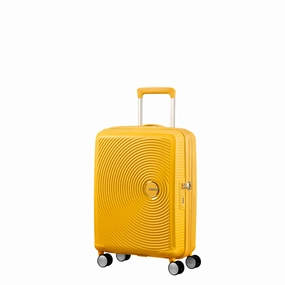 American Tourister Curio Spinner Carry-On Exclusive Online Discount