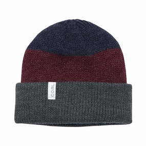 Coal The Frena Kids Beanie - Charcoal Stripe Online Exclusive Offer Gift Ideas Galore