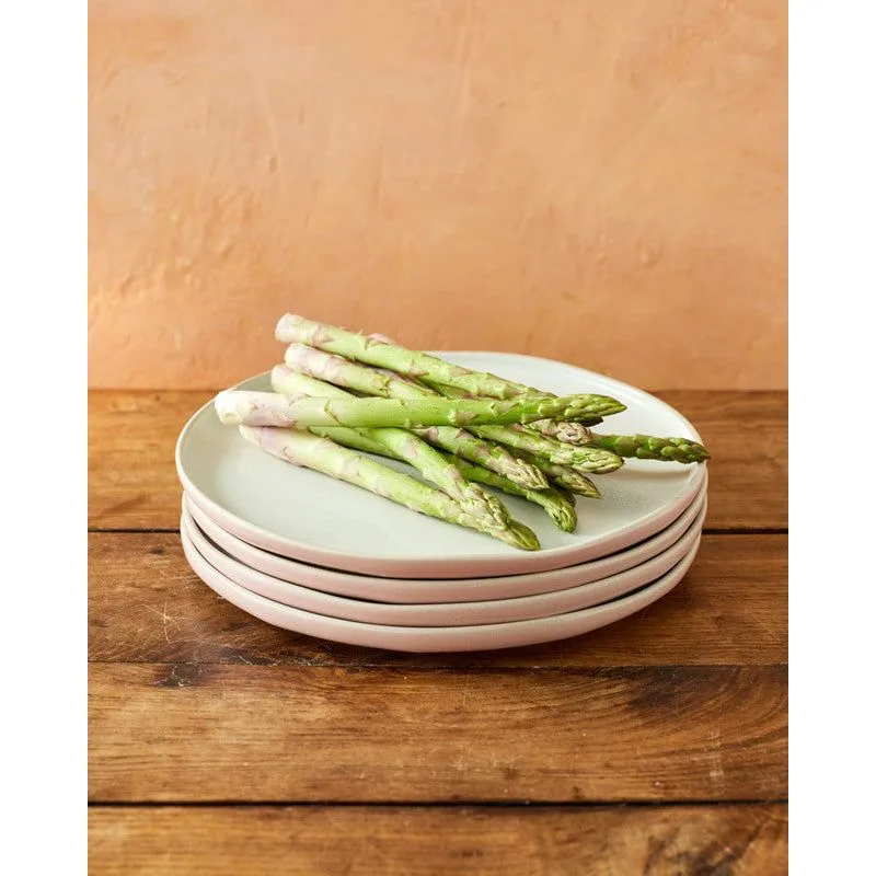 Jamie Oliver Big Love Set of 4 Perfect Dinner Plates