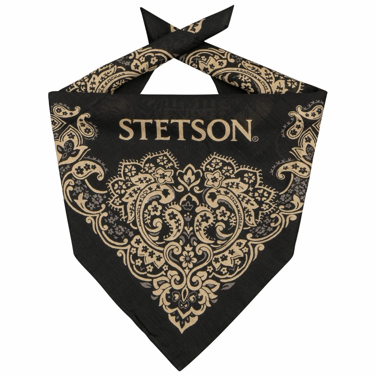 Paisley Bandana Weekend Sale Special Todays Special Picks