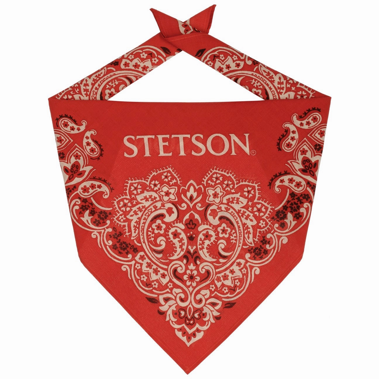 Limited Edition Offer Paisley Bandana