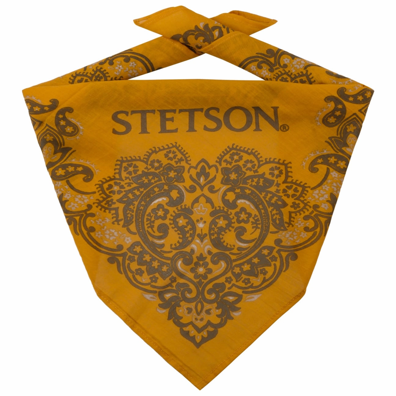 Paisley Bandana Surprise Discount Today Weekend Sale Special