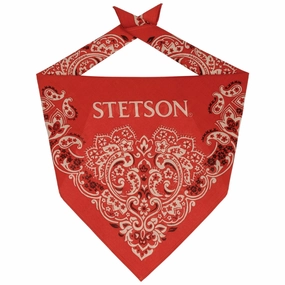 Limited Edition Offer Paisley Bandana
