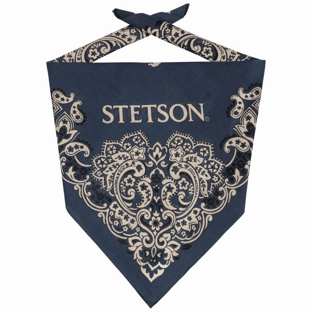 Paisley Bandana Hot Clearance Now