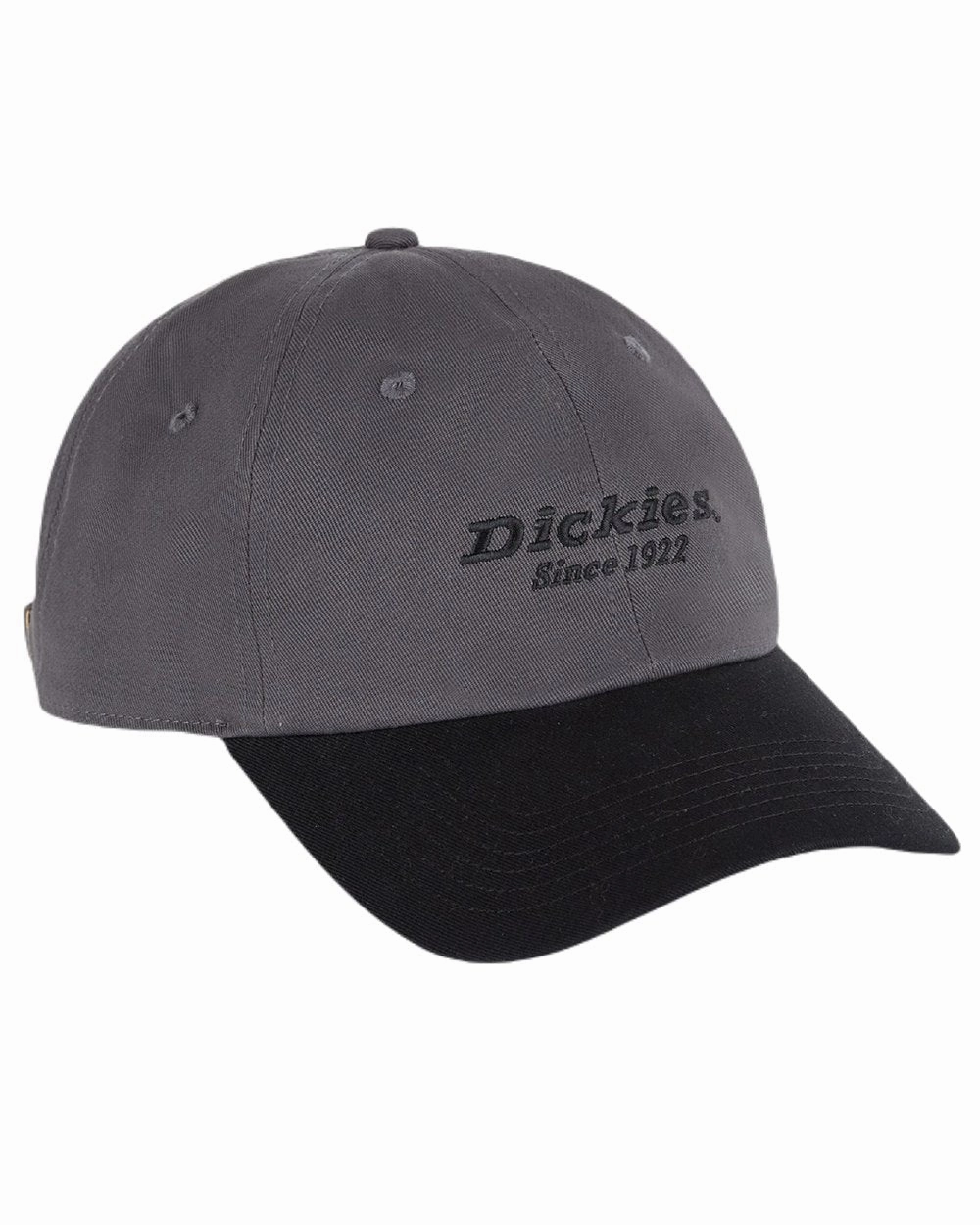 Dickies Everyday Twill Cotton Cap New Arrival Discount Flash Sale Now