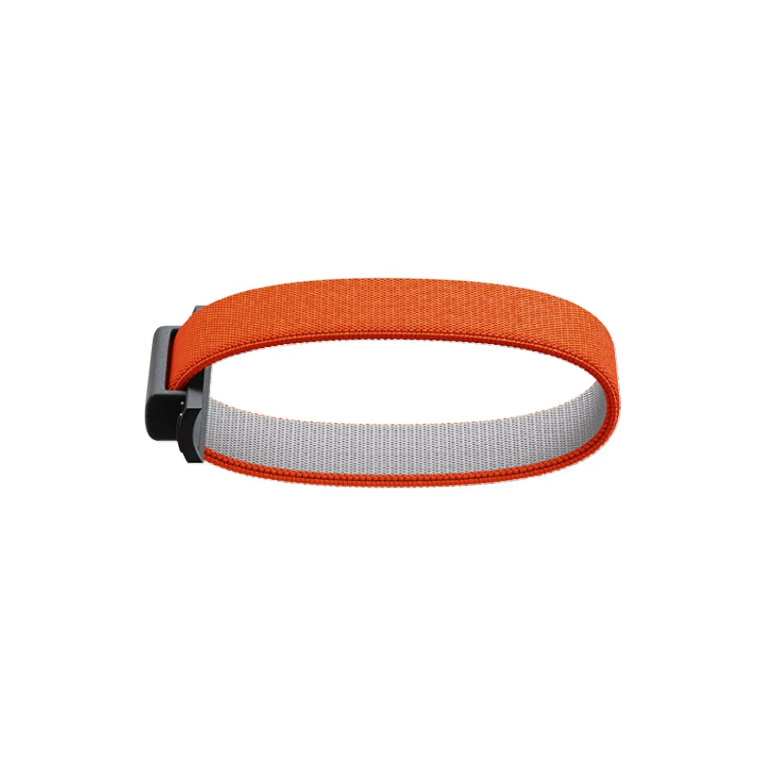 New Arrival Discount Today Only Special Secrid Bandwallet (Add-On)