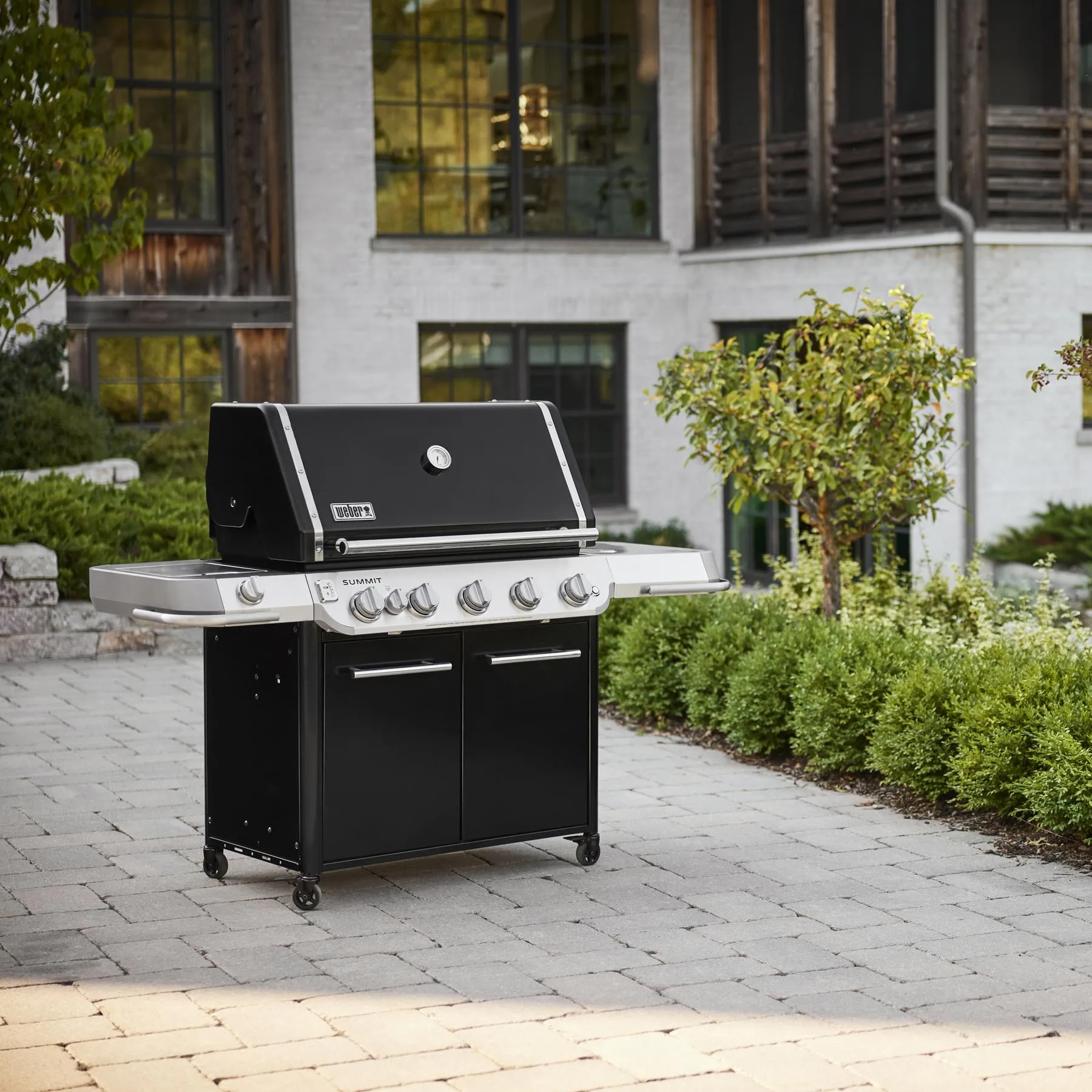 Weber 1500029 Summit Fs38 E Gas Grill (Liquid Propane) - Black