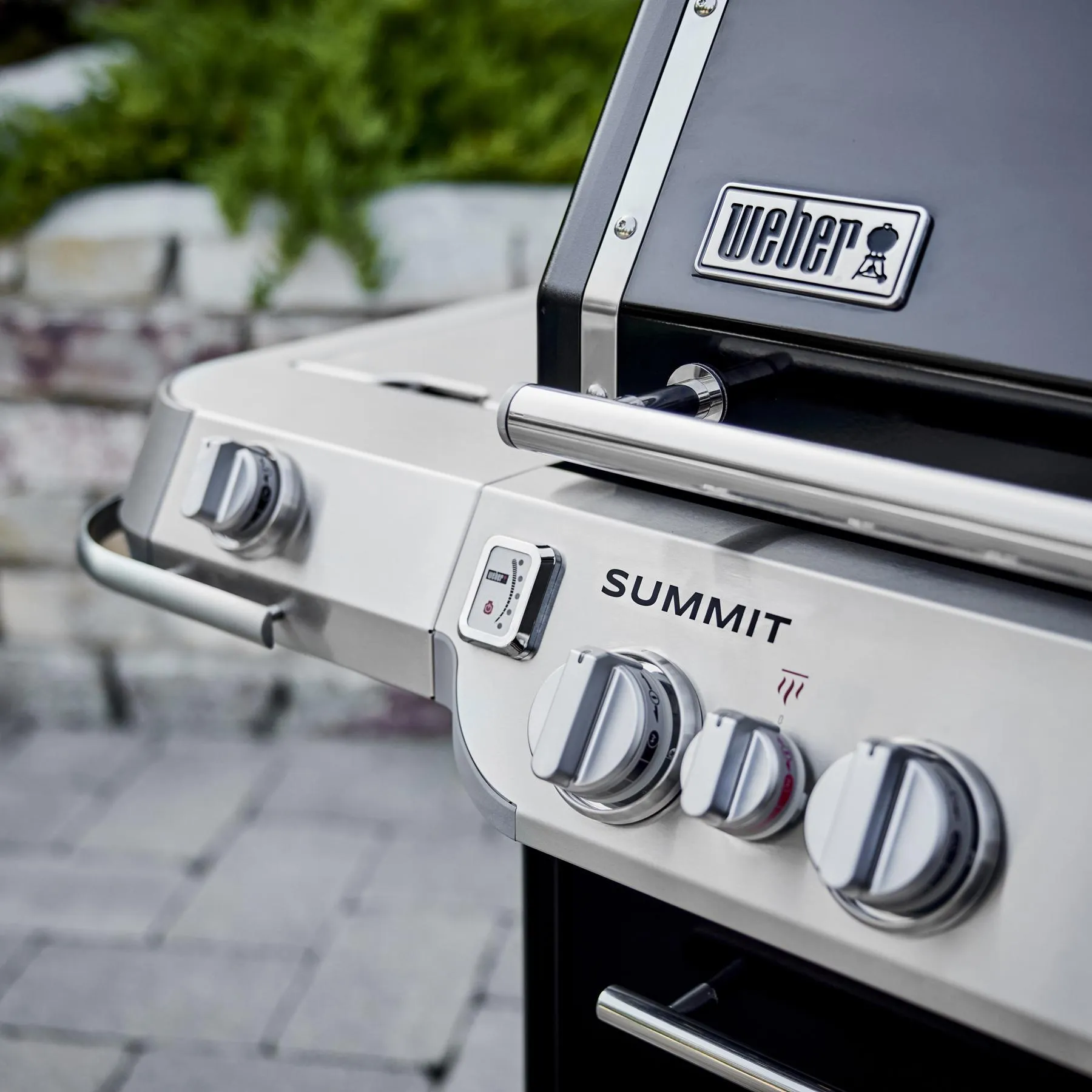 Weber 1500029 Summit Fs38 E Gas Grill (Liquid Propane) - Black