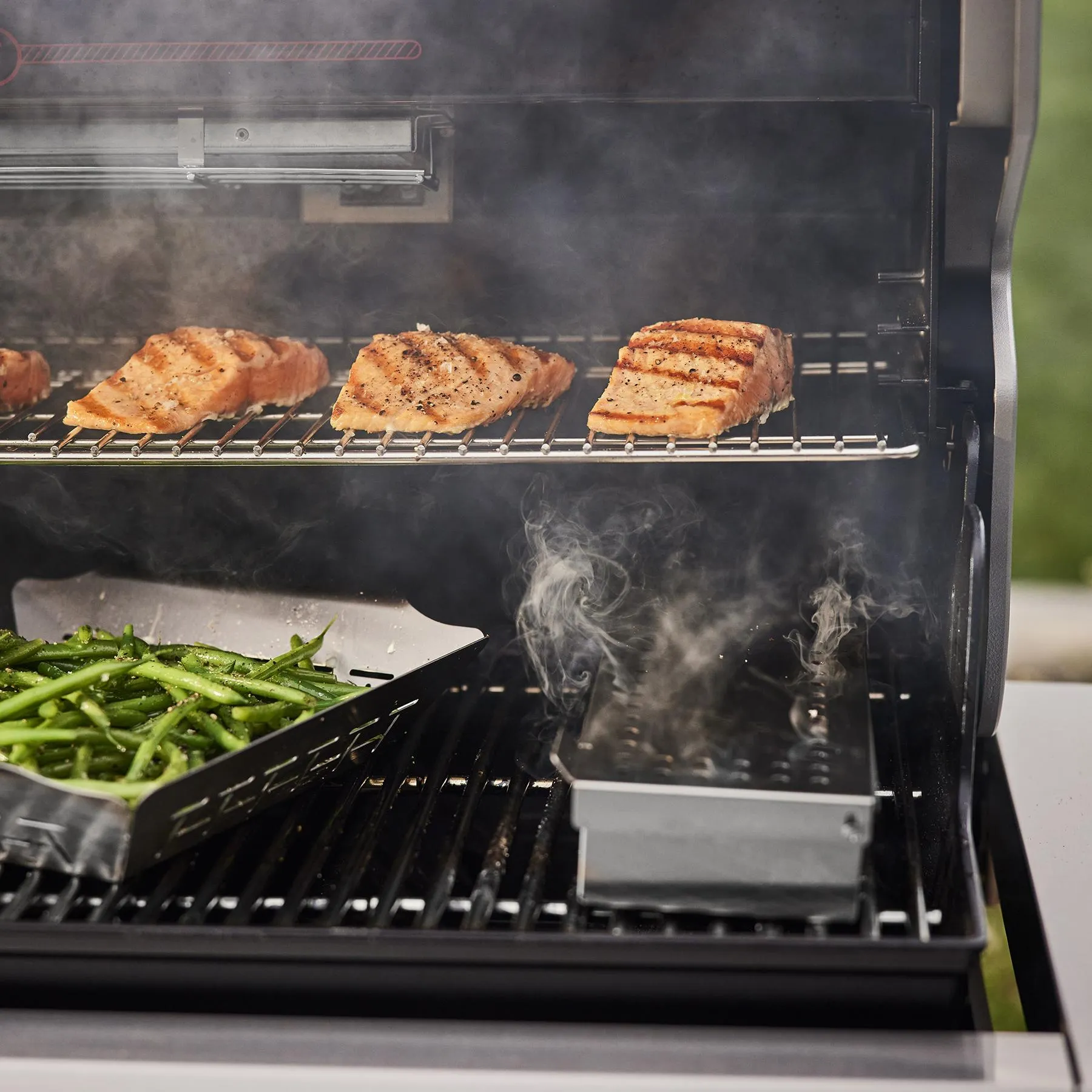 Weber 1500051 Summit Smart Fs38X E Gas Grill (Liquid Propane) - Black