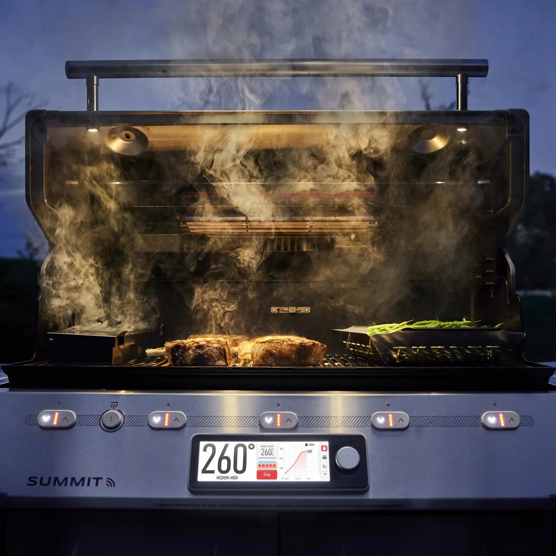 Weber 1500051 Summit Smart Fs38X E Gas Grill (Liquid Propane) - Black