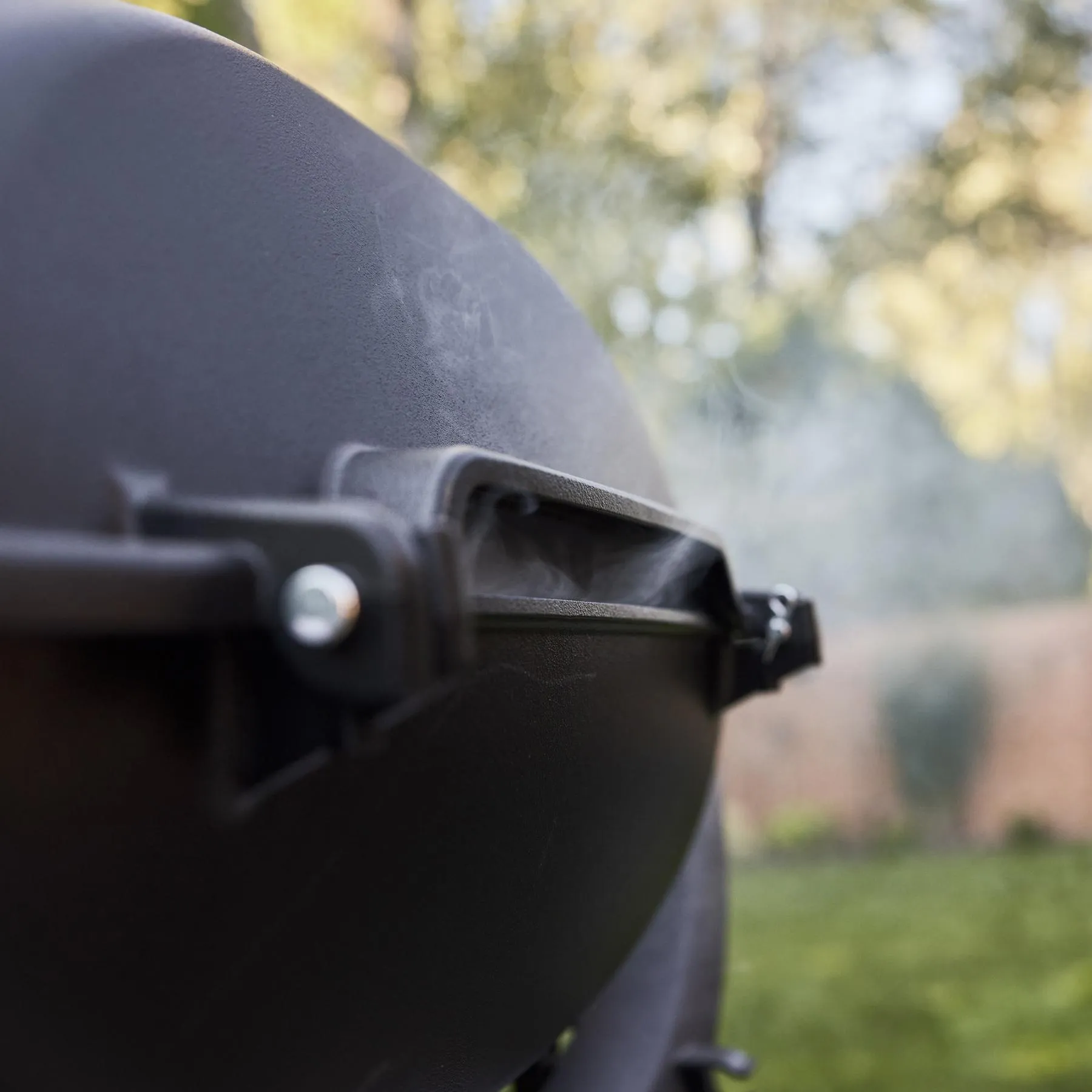 Weber 1500379 Q 2800N  Gas Grill (Liquid Propane) - Sky Blue