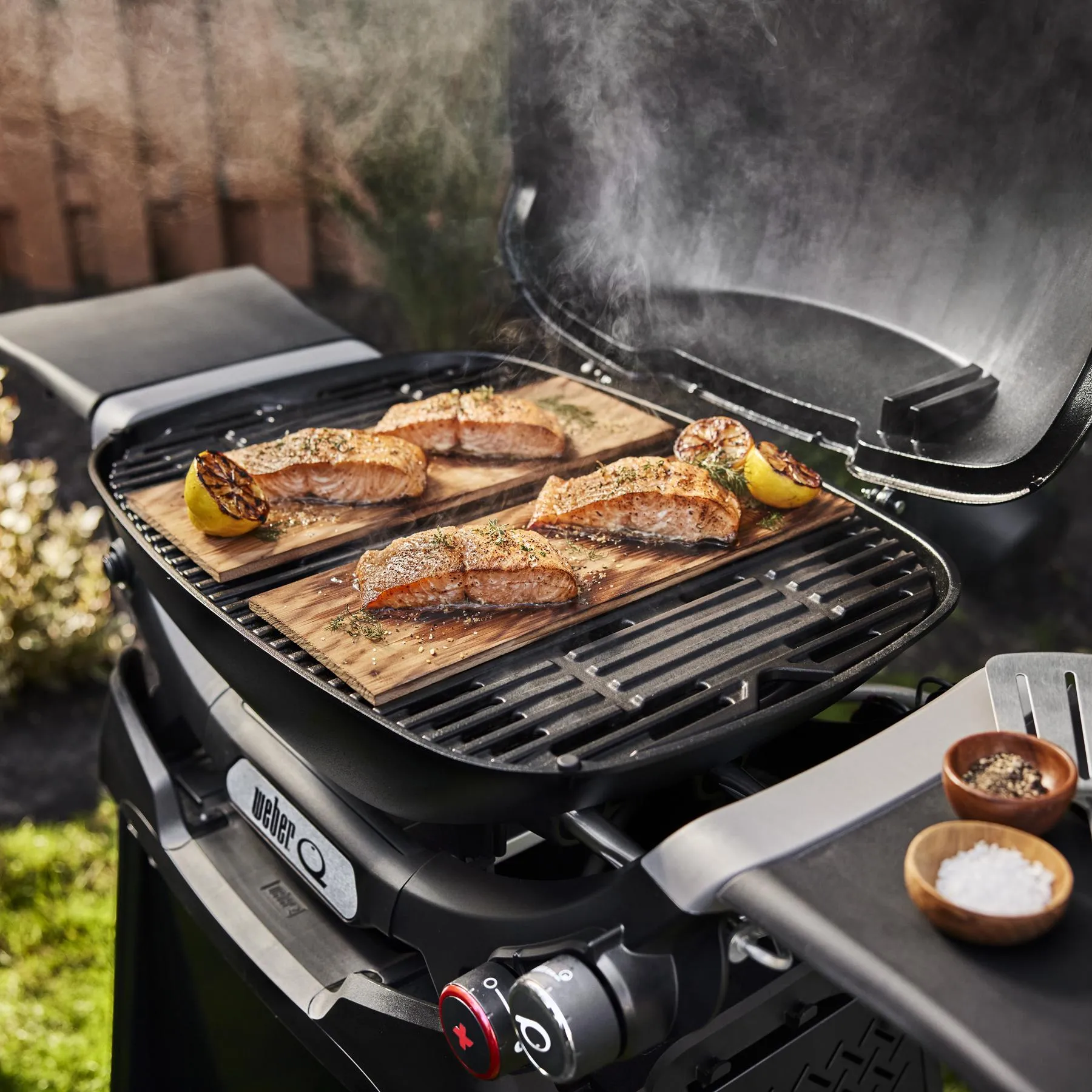 Weber 1500390 Q 2800N  Gas Grill With Stand (Liquid Propane) - Midnight Black