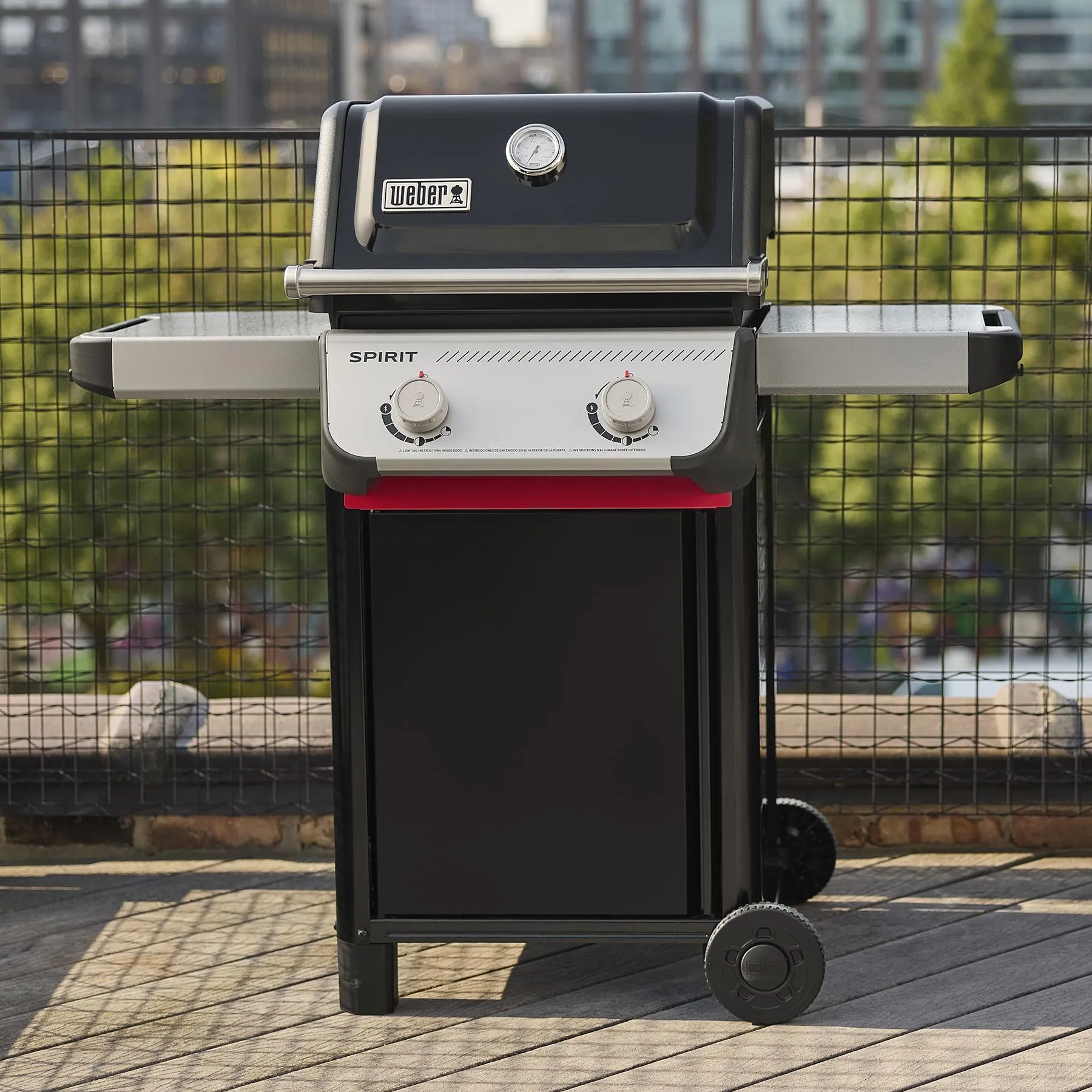 Weber 1501000 Spirit E-210 Gas Grill (Liquid Propane) - Black