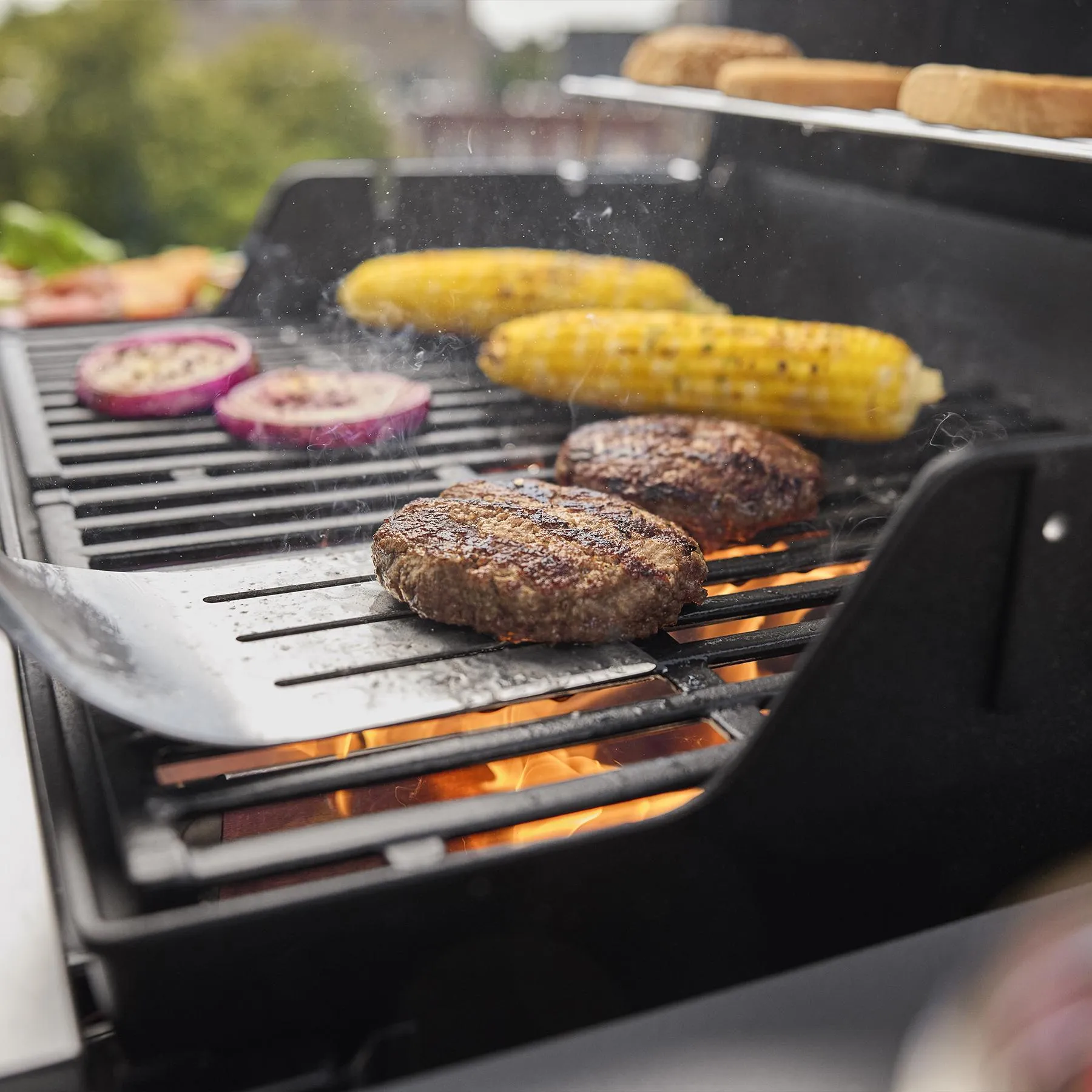 Weber 1501000 Spirit E-210 Gas Grill (Liquid Propane) - Black