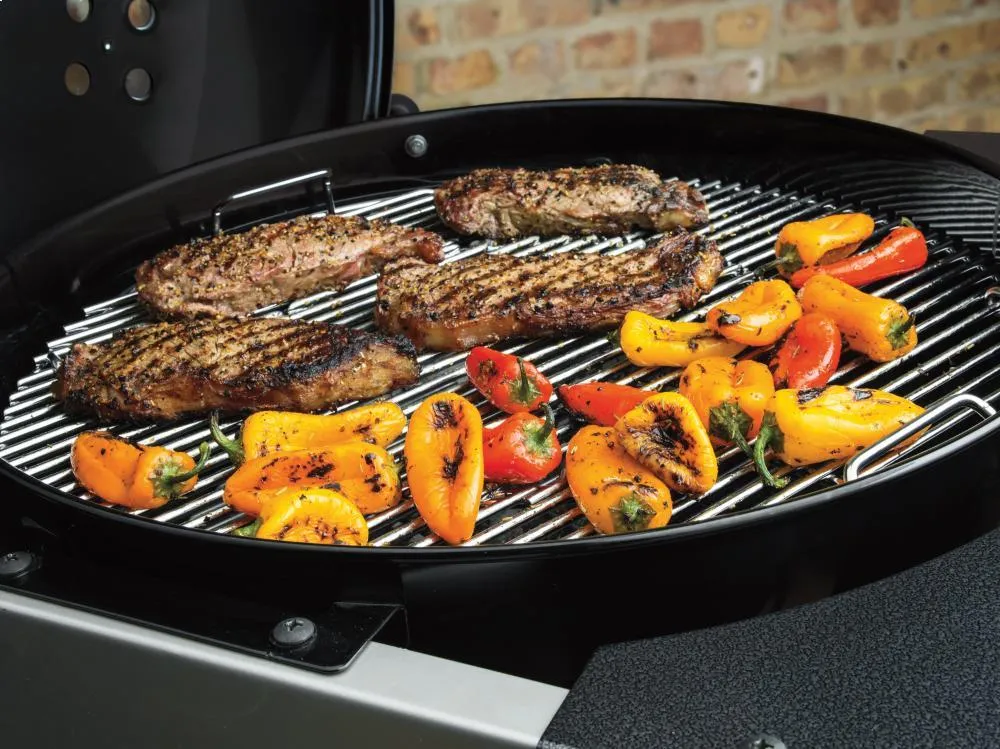 Weber 15301001 Performer Charcoal Grill - 22 Inch Black