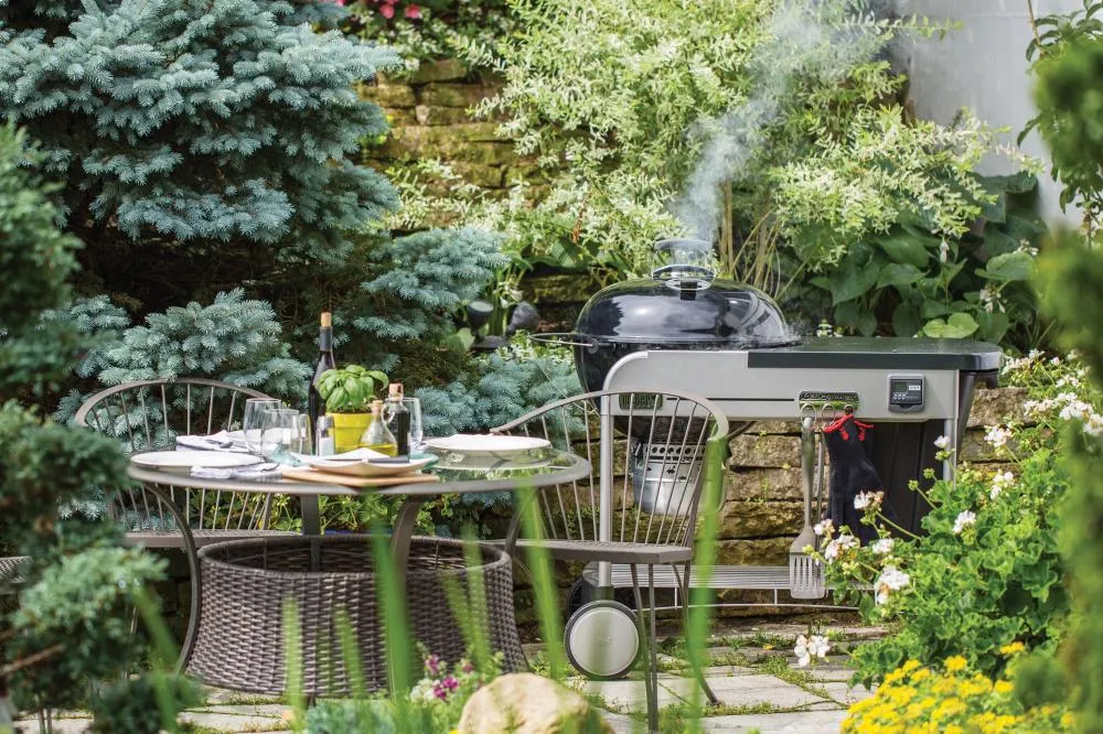 Weber 15401001 Performer Premium Charcoal Grill - 22 Inch Black