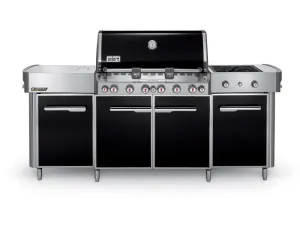 Weber 291101 Summit Grill Center Lp Gas - Black
